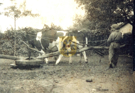 KEUTENBERG 012