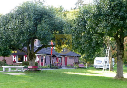 HAASSTAD 036 camping gele anemoon