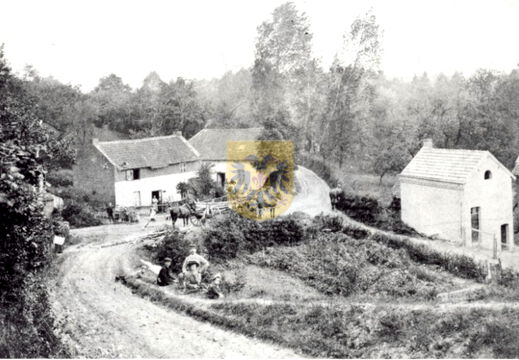BEERTSENHOVEN 001 b