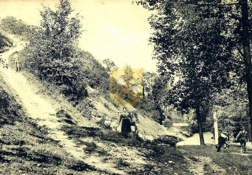 GRONSELENPUT 002a