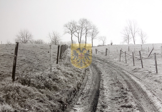 15 scheulder