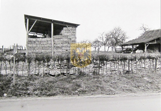 ransdaal 74