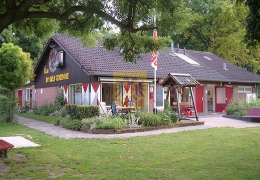 HAASSTAD 037 camping gele anemoon