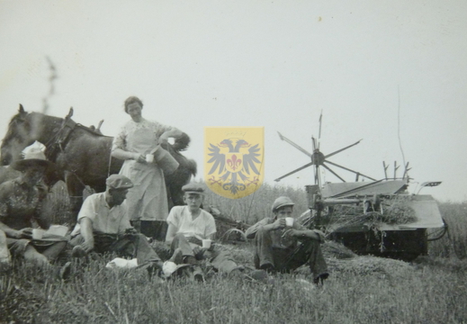 KASTEELHOEVE CARTILS 026 - Ungertied ca 1940