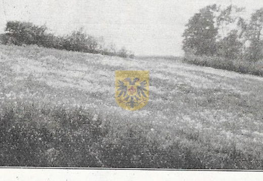 BEERTSENHOVEN 088 Dolsberg natuur 1935