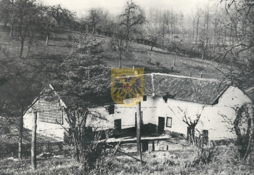 BEERTSENHOVEN 003