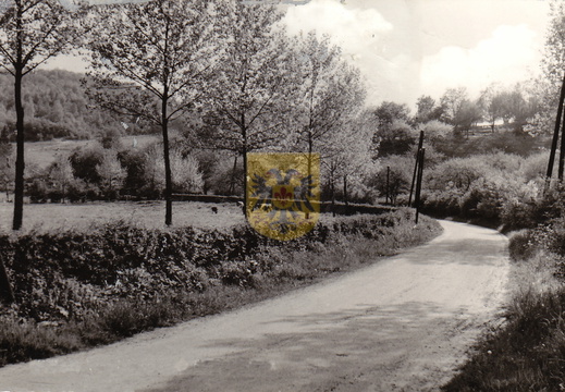 BEERTSENHOVEN 032
