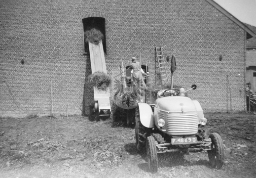 KASTEELHOEVE CARTILS 005 - hooioogst koeienstal ca 1950