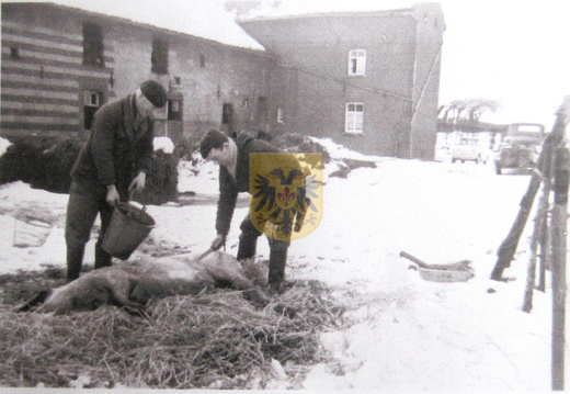 027 Jeukenhof - huisslacht door FRans Kroese - hoeve maessen