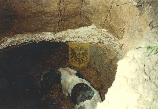 BEERTSENHOVEN 039