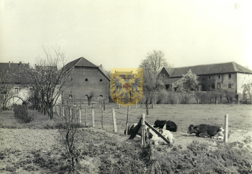 053a Wielderhof en watermolen ca 1965