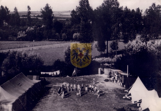 GRONSELENPUT 014