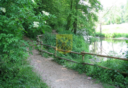 GRONSELENPUT 027