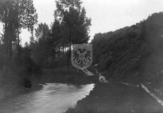 GRONSELENPUT 031