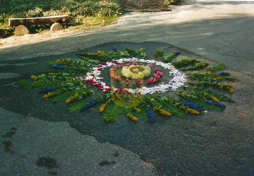 BEERTSENHOVEN 054