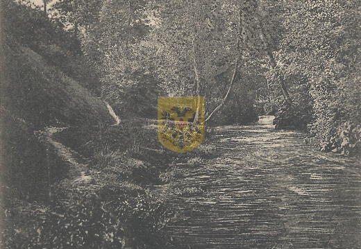GRONSELENPUT 001