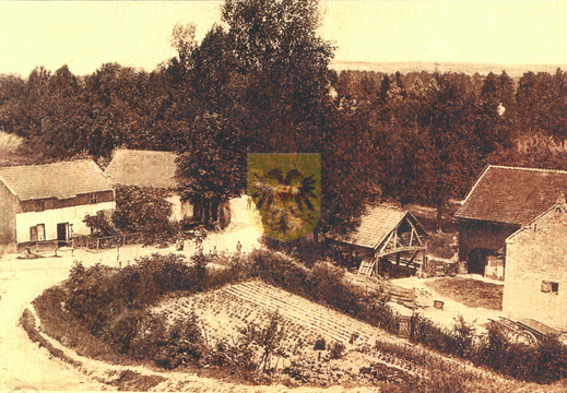BEERTSENHOVEN 063 c