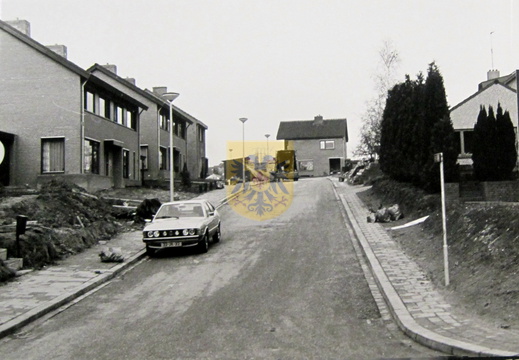 ransdaal 55