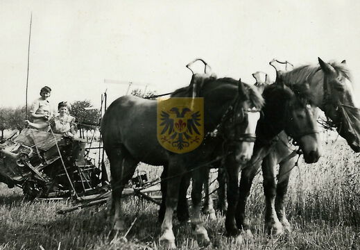 Elkenraderhof 032 - Familie Nobis-Schins 4