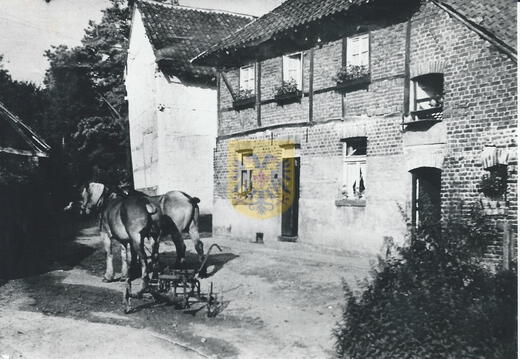 BEERTSENHOVEN 010