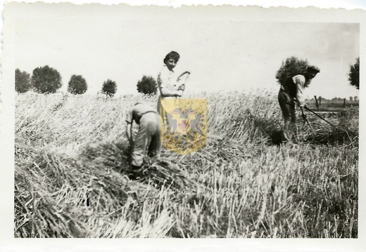 Elkenraderhof 029 - familie Nobis-Schins