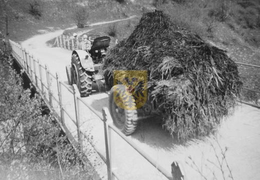 KASTEELHOEVE CARTILS 014 - mestuitrijden. spoorbrug richting Eyswerbos ca 1950