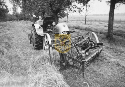 KASTEELHOEVE CARTILS 027 - hooien ca 1953