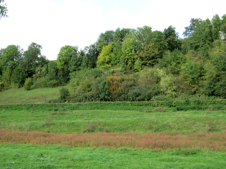 ETENAKEN_097.JPG