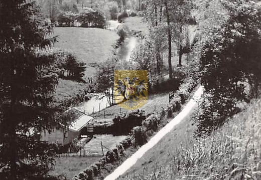 HAASSTAD 043 Voetpad van Engwegen naar Gronselenput ca 1960