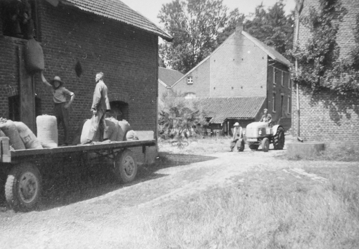 KASTEELHOEVE CARTILS 012 - oogst ca 1954