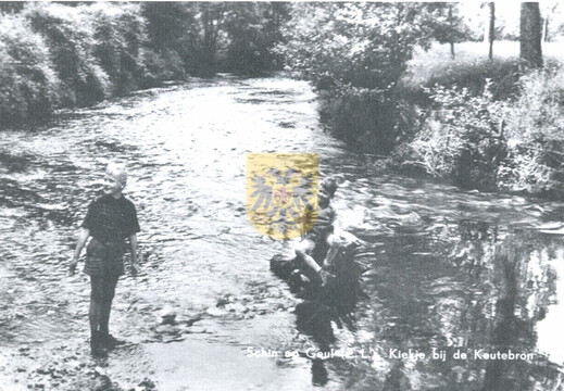 GRONSELENPUT 023
