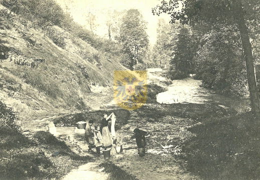 GRONSELENPUT 010a