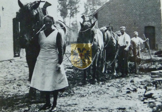 KASTEELHOEVE CARTILS 010 - mest uitrijden ca. 1934