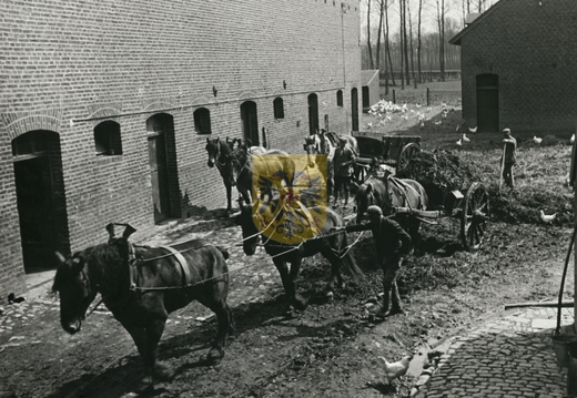 KASTEELHOEVE CARTILS 002 - mest uitrijden 1935