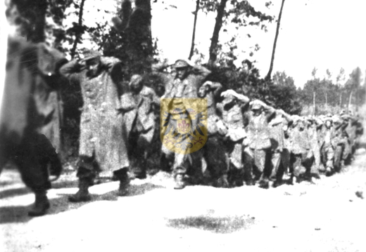 ELKENRADE ALGEMEEN 001 - krijgsgevangen Duitsers in Eyserbos 1944