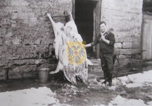 029 Jeukenhof - huisslacht door Frans Kroese - hoeve maessen