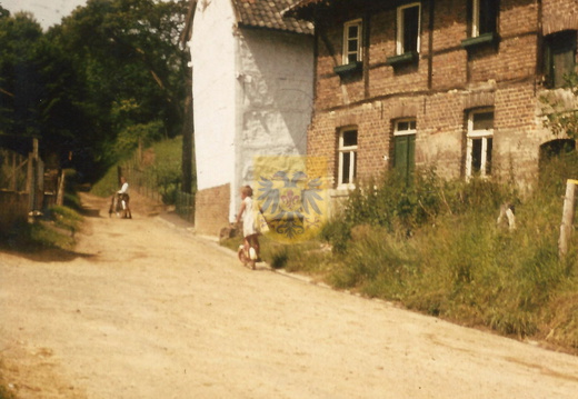 BEERTSENHOVEN 013