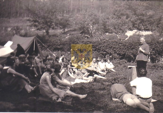 GRONSELENPUT 015