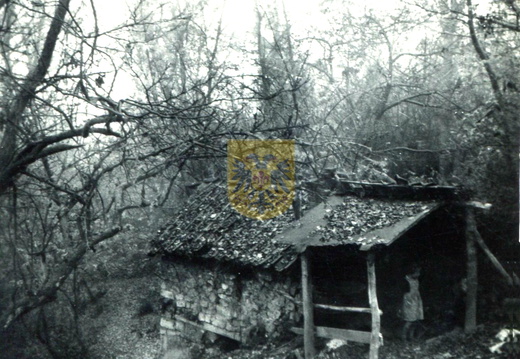 KEUTENBERG 045d
