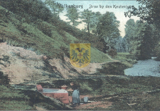 GRONSELENPUT 005