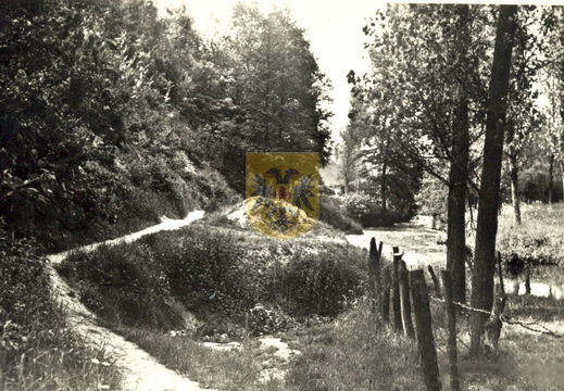 GRONSELENPUT 036