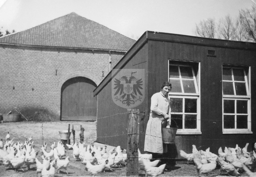 KASTEELHOEVE CARTILS 004 - kippenhok met op de achtergrond de graanschuur. Pauline Otten