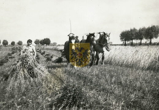 Elkenraderhof 031 - Familie Nobis-Schins 1