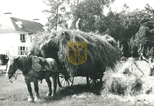 BEERTSENHOVEN 092 Huize Vlierbeek - Sjeng Canisius hooien