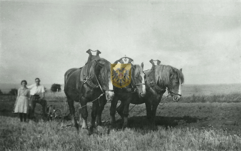 ETENAKERHOF_004_-_martin_meessen_en_zus_netta.jpg