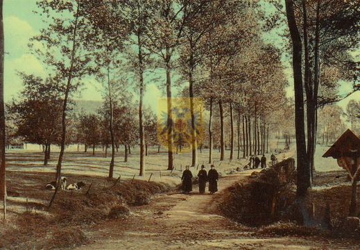 CARTILS 003 - Weg naar Rood Cartils ca 1939