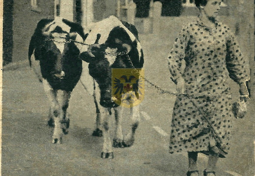 ETENAKEN 054