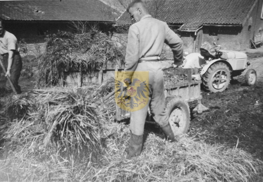 KASTEELHOEVE CARTILS 018 - mest uitrijden ca 1955