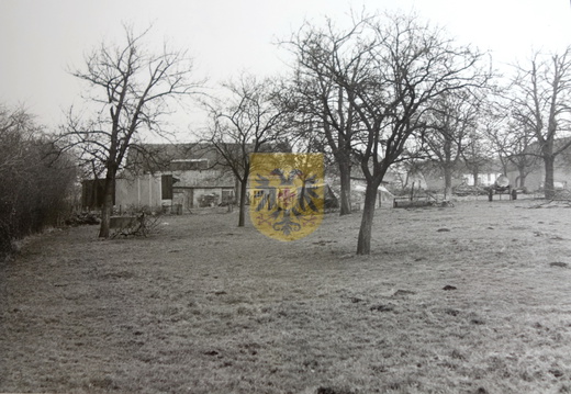 13 scheulder