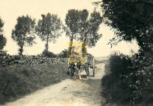 KEUTENBERG 066